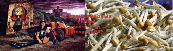 COCAINE Богородицк