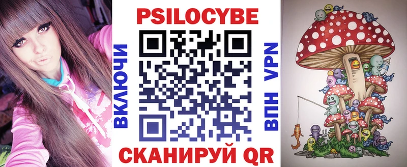 Псилоцибиновые грибы Psilocybe  hydra как зайти  Данков 